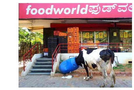 DEEP SEE - Retail Maharaj