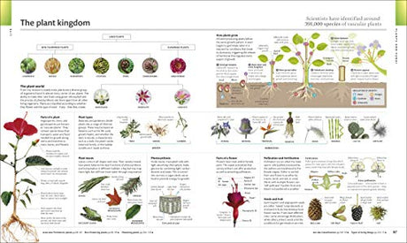 The Visual Encyclopedia - Retail Maharaj