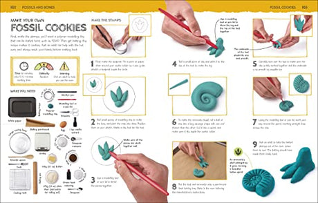 Dinosaur Activity Lab: Exciting Projects for Budding Palaeontologists (DK Activity Lab) - Retail Maharaj