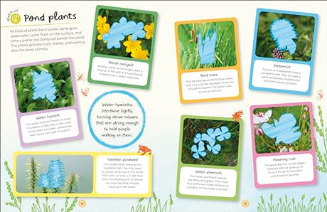 RHS Ultimate Sticker Book Garden Pond: New Edition with More Than 250 Stickers - Retail Maharaj