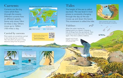 First Encyclopedia of Seas and Oceans - Retail Maharaj
