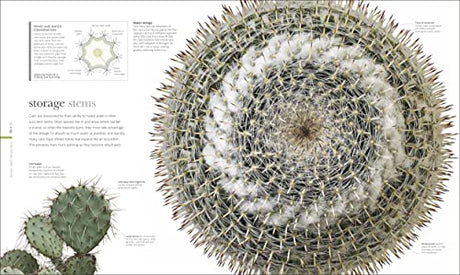 The Science of Plants: Inside their Secret World - Retail Maharaj