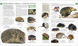 The Natural History Book: The Ultimate Visual Guide to Everything on Earth (DK Definitive Visual Encyclopedias) - Retail Maharaj