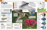 Animal Knowledge Genius!: A Quiz Encyclopedia to Boost Your Brain - Retail Maharaj