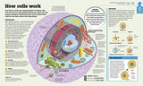 How the Body Works: The Facts Simply Explained - Retail Maharaj