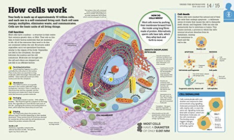 How the Body Works: The Facts Simply Explained - Retail Maharaj