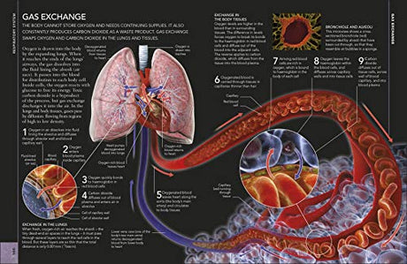 The Concise Human Body Book - Retail Maharaj