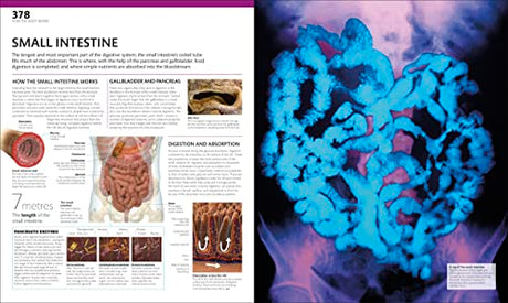 The Complete Human Body: The Definitive Visual Guide - Retail Maharaj