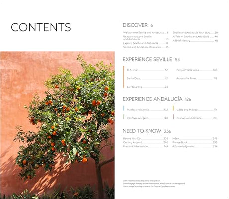 DK Seville and Andalucia - Retail Maharaj
