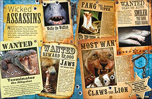 The Animal Book - Retail Maharaj