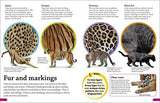 DKfindout! Big Cats - Retail Maharaj