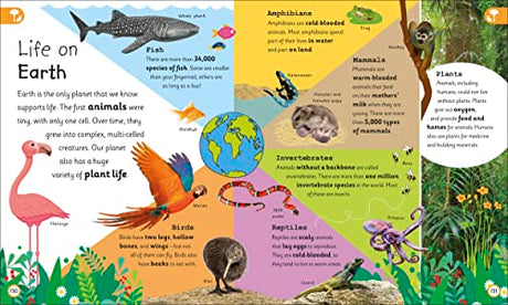 My Very Important Earth Encyclopedia: For Little Learners Who Want to Know About Our Planet (My Very Important Encyclopedias) - Retail Maharaj