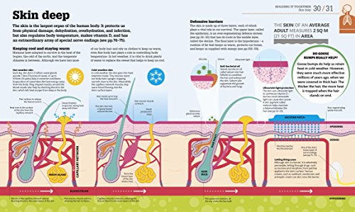 How the Body Works: The Facts Simply Explained - Retail Maharaj
