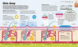 How the Body Works: The Facts Simply Explained - Retail Maharaj