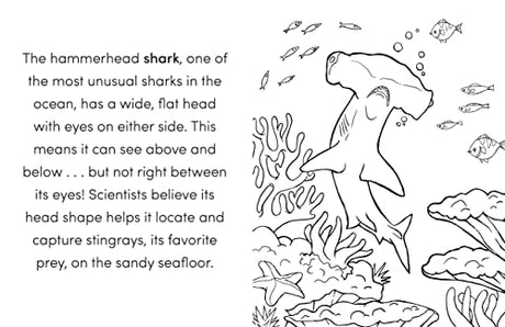 Wild Animal Book for Kids: Coloring Fun and Awesome Facts (A Did You Know? Coloring Book) - Retail Maharaj