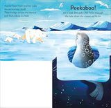 Pop-up Peekaboo! Winter: Pop-Up Surprise Under Every Flap! - Retail Maharaj