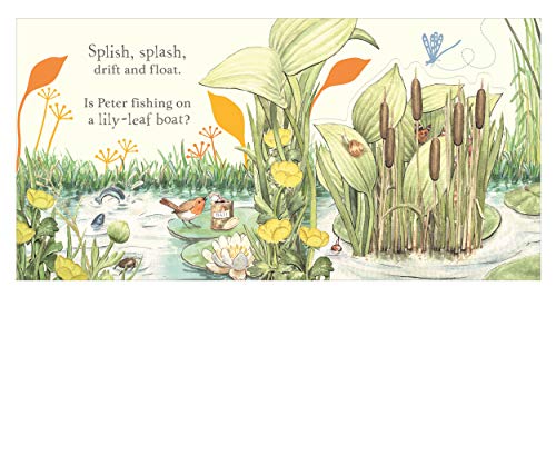 Where is Peter Rabbit? - Retail Maharaj