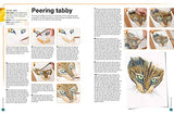 Ready to Paint in 30 Minutes: Animals in Watercolour: Build your skills with quick & easy painting projects - Retail Maharaj
