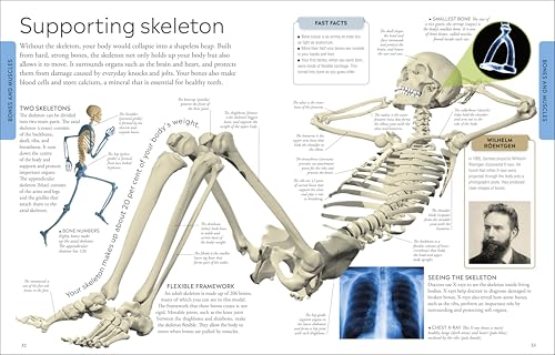 Human Body A Children's Encyclopedia - Retail Maharaj