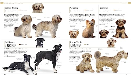 The Dog Encyclopedia: The Definitive Visual Guide - Retail Maharaj