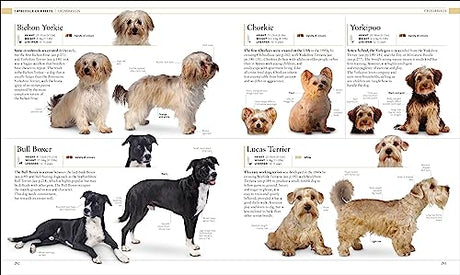 The Dog Encyclopedia: The Definitive Visual Guide - Retail Maharaj
