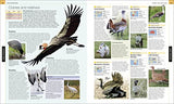 Bird: The Definitive Visual Guide - Retail Maharaj