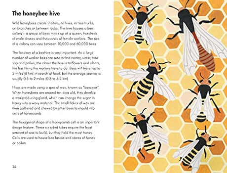 A Ladybird Book: Insects and Minibeasts - Retail Maharaj