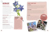 Foraging: The Complete Guide for Kids and Families!: The fun and easy guide to the great outdoors - Retail Maharaj
