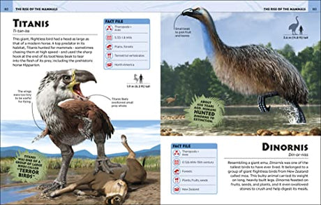 Extraordinary Dinosaurs and Other Prehistoric Life Visual Encyclopedia - Retail Maharaj