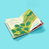 How the Mango got its Magic: Puffin Chapter Book, Gorgeous new full colour, illustrated chapter book for young readers from ages 5 and up - Retail Maharaj