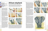 Ready to Paint in 30 Minutes: Animals in Watercolour: Build your skills with quick & easy painting projects - Retail Maharaj