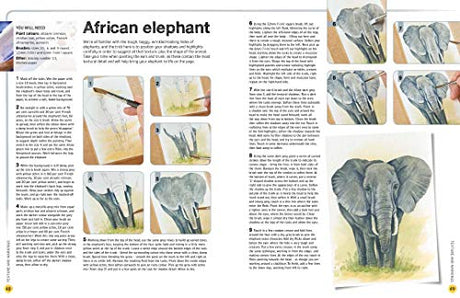 Ready to Paint in 30 Minutes: Animals in Watercolour: Build your skills with quick & easy painting projects - Retail Maharaj