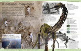 First Dinosaur Encyclopedia - Retail Maharaj