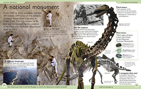 First Dinosaur Encyclopedia - Retail Maharaj
