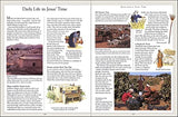 The Children's Pocket Bible - Retail Maharaj