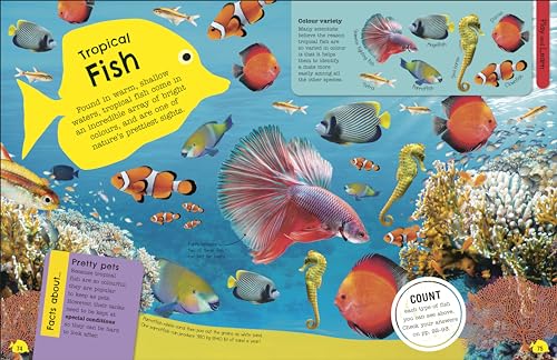 The Fact-Packed Activity Book: Sharks and Other Sea Creatures - Retail Maharaj