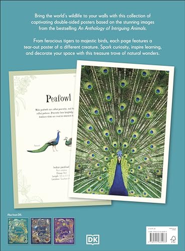 An Anthology of Intriguing Animals Poster Book: With More Than 30 Reversible Tear-Out Posters - Retail Maharaj