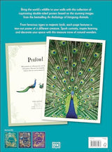 An Anthology of Intriguing Animals Poster Book: With More Than 30 Reversible Tear-Out Posters - Retail Maharaj