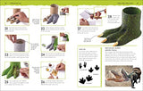 Dinosaur Activity Lab: Exciting Projects for Budding Palaeontologists (DK Activity Lab) - Retail Maharaj