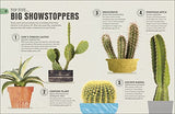 Happy Cactus - Retail Maharaj