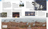 Bird: The Definitive Visual Guide - Retail Maharaj