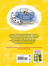 Harry and the Guinea Pig - Retail Maharaj