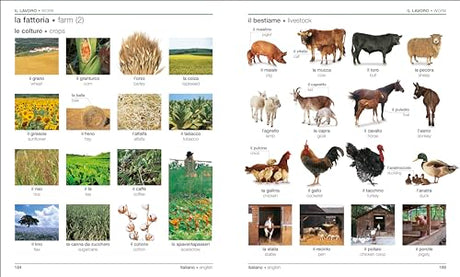 Italian English Bilingual Visual Dictionary (DK Bilingual Visual Dictionaries) - Retail Maharaj