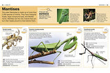 Pocket Eyewitness Insects - Retail Maharaj
