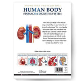 Human Body - Stomach And Digestive System: Knowledge Encyclopedia For Children - Retail Maharaj