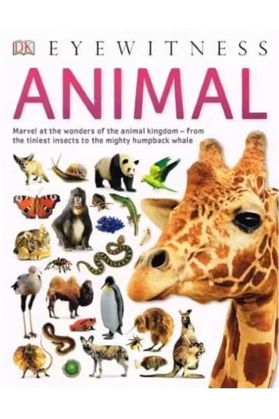Eyewitness - Animal - Retail Maharaj