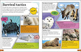 DKFindout! Arctic and Antarctic - Retail Maharaj