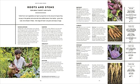 The Vegetable Grower's Handbook: Unearth Your Garden's Full Potential - Retail Maharaj