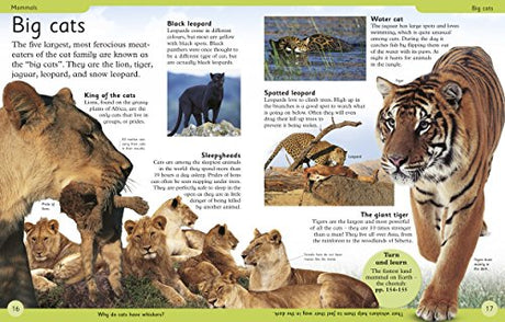 First Animal Encyclopedia: A First Reference Book for Children - Retail Maharaj