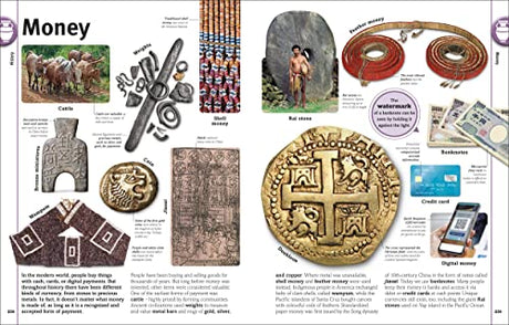 Our World in Pictures: An Encyclopedia of Everything - Retail Maharaj